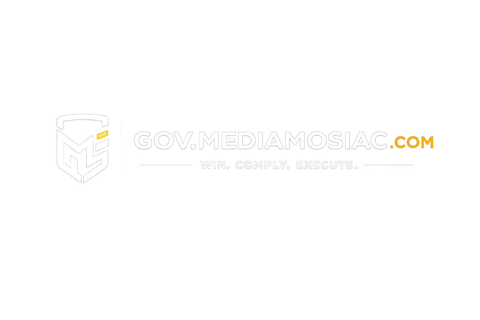 Media Mosiac Gov Solutions